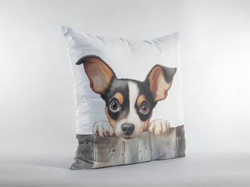 P-8645-toy fox terrier